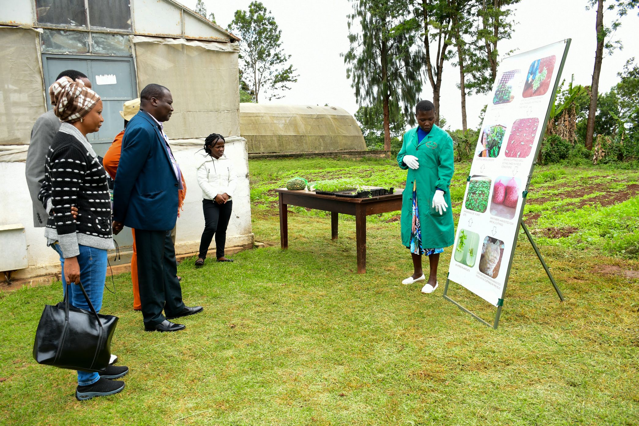 https://istrc.aatf-africa.org/wp-content/uploads/2022/12/DSC_0164.jpg