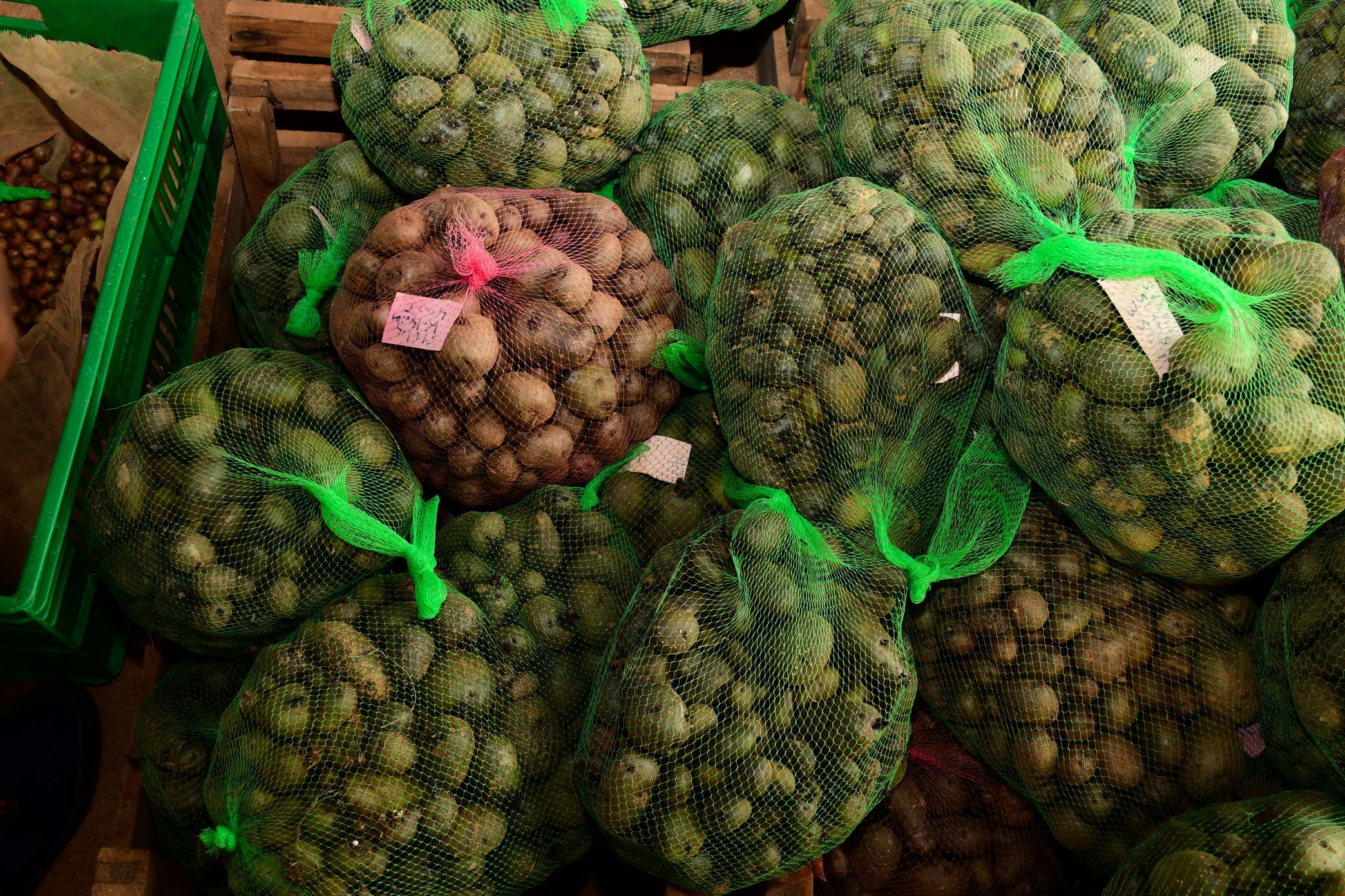 https://istrc.aatf-africa.org/wp-content/uploads/2022/12/DSC_0246.jpg