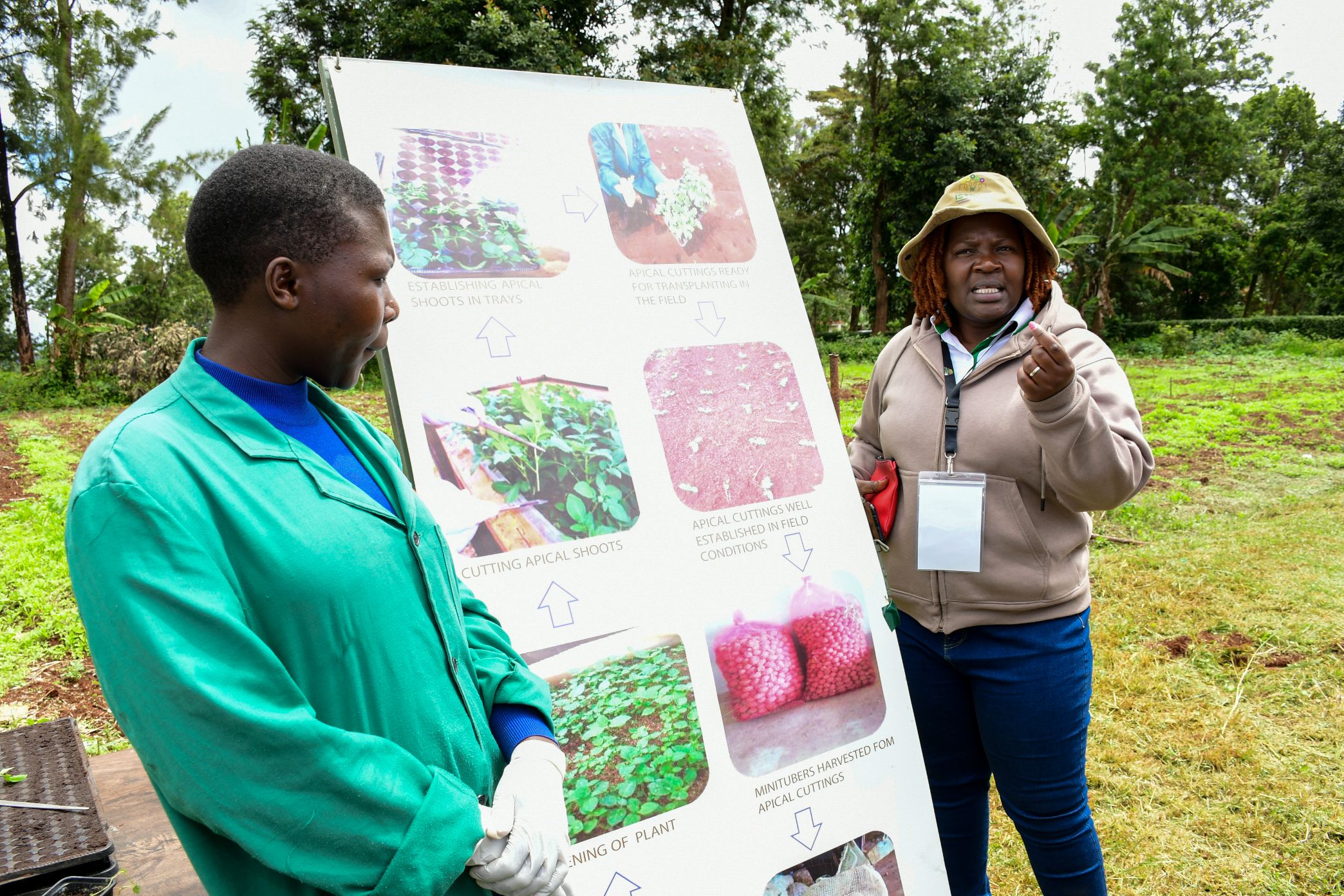 https://istrc.aatf-africa.org/wp-content/uploads/2022/12/DSC_0279.jpg