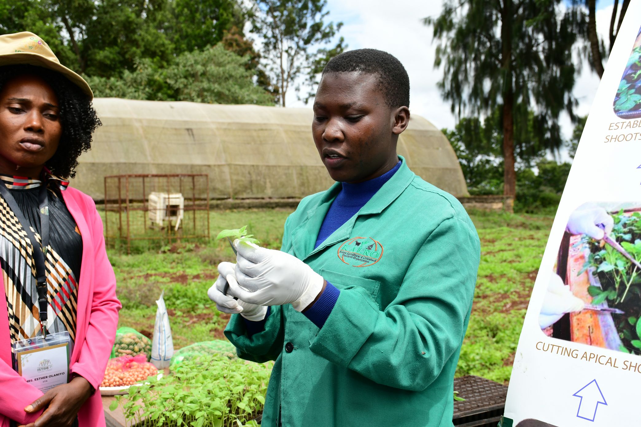 https://istrc.aatf-africa.org/wp-content/uploads/2022/12/DSC_0290.jpg