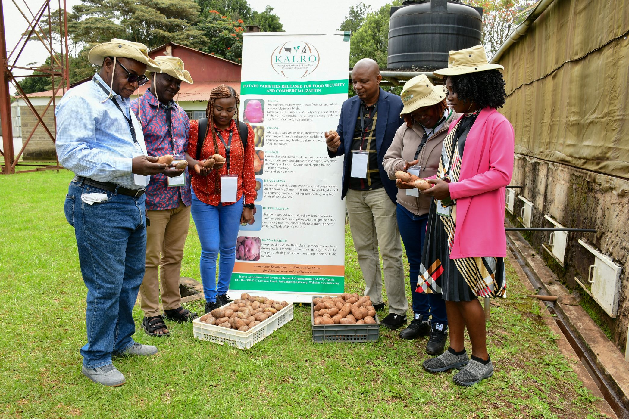 https://istrc.aatf-africa.org/wp-content/uploads/2022/12/DSC_0326.jpg