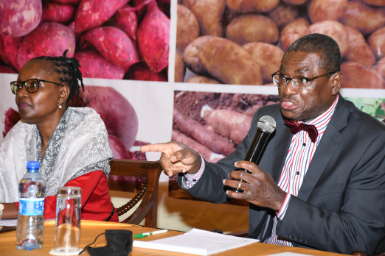 https://istrc.aatf-africa.org/wp-content/uploads/2022/12/UAP_9380.jpg