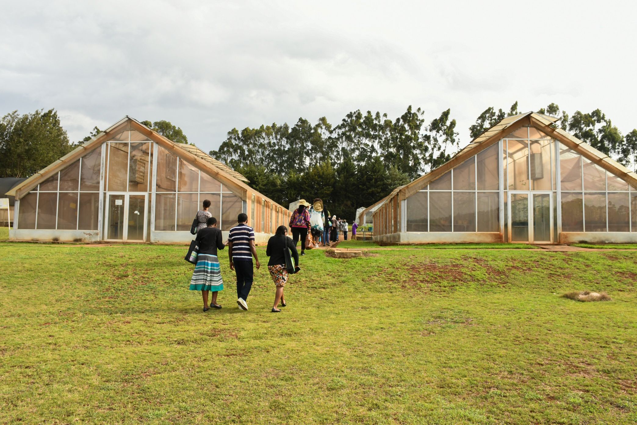 https://istrc.aatf-africa.org/wp-content/uploads/2022/12/UAP_9776.jpg
