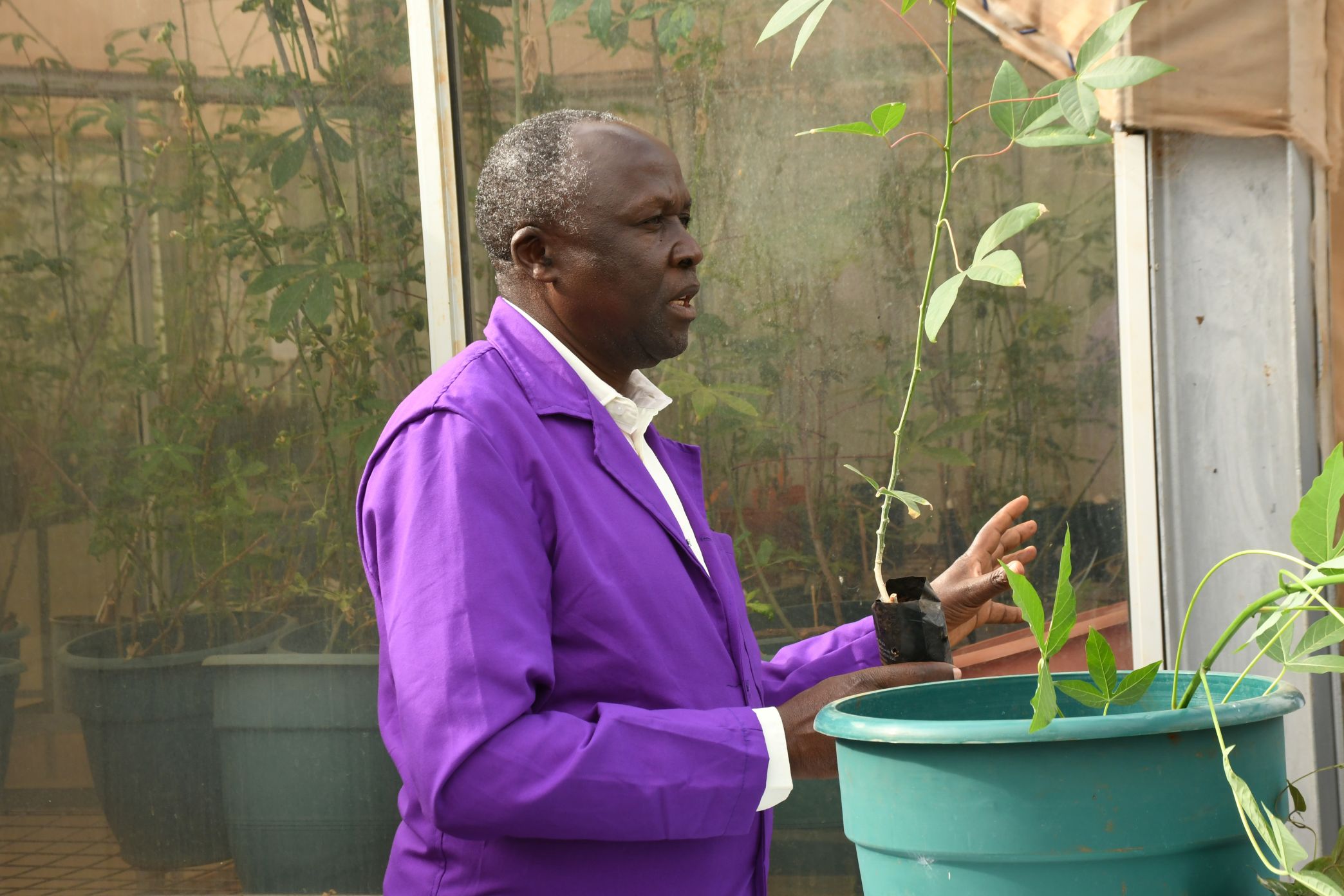 https://istrc.aatf-africa.org/wp-content/uploads/2022/12/UAP_9792.jpg
