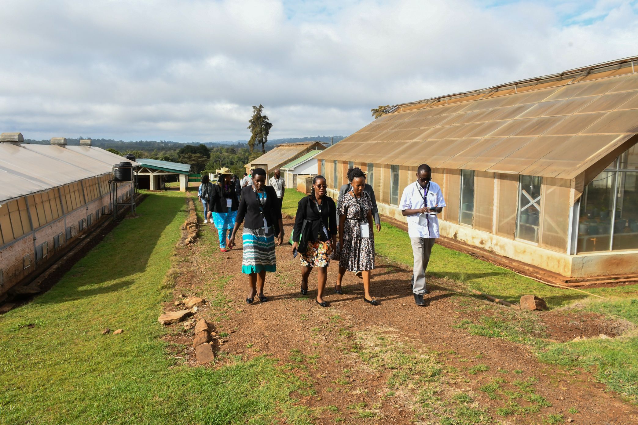 https://istrc.aatf-africa.org/wp-content/uploads/2022/12/UAP_9813.jpg